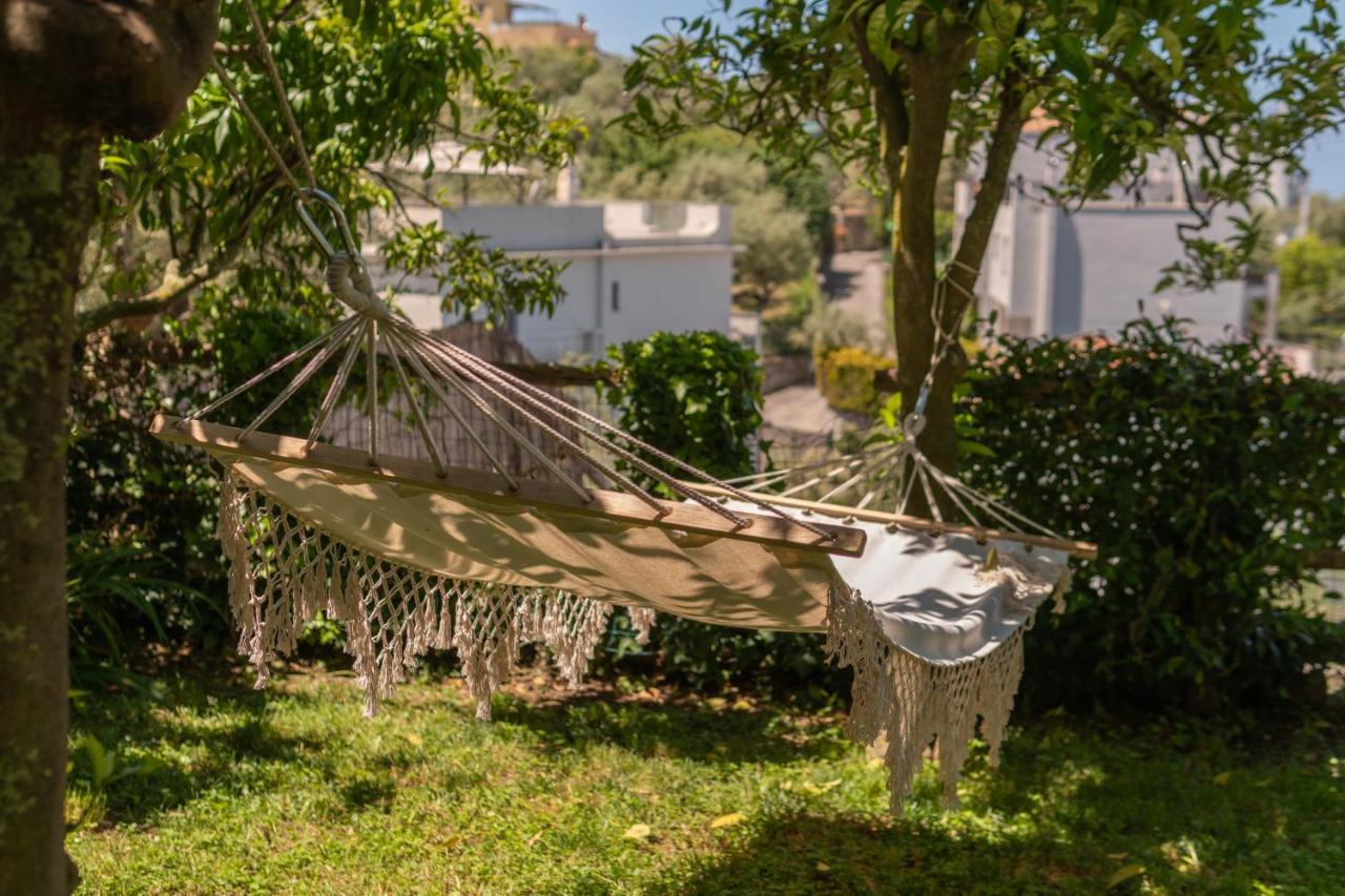 Villa Carolina Sorrento Private Heated Pool And Sea View Ngoại thất bức ảnh
