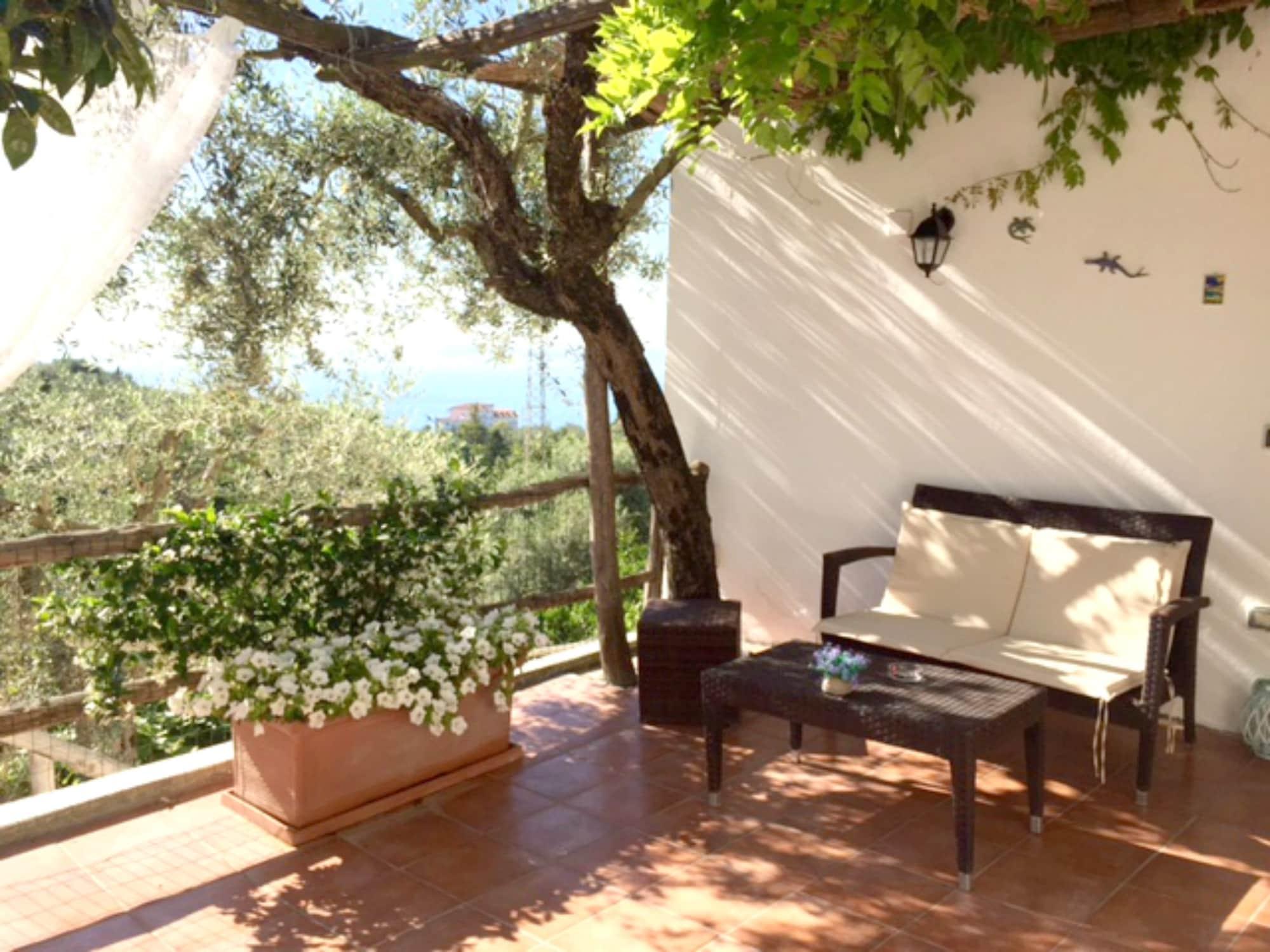 Villa Carolina Sorrento Private Heated Pool And Sea View Ngoại thất bức ảnh