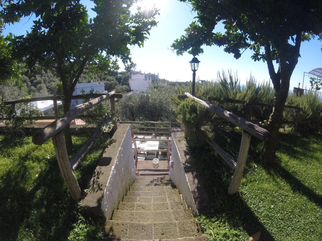 Villa Carolina Sorrento Private Heated Pool And Sea View Ngoại thất bức ảnh